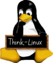 Think-Linux